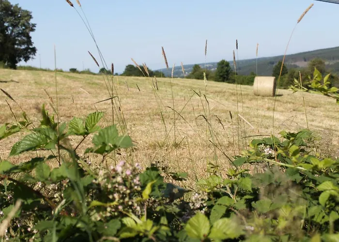 Legrand Rum i privatbostad Francorchamps